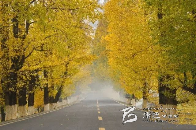 康定新都橋，有一條黃金大道通往夢(mèng)中的天堂