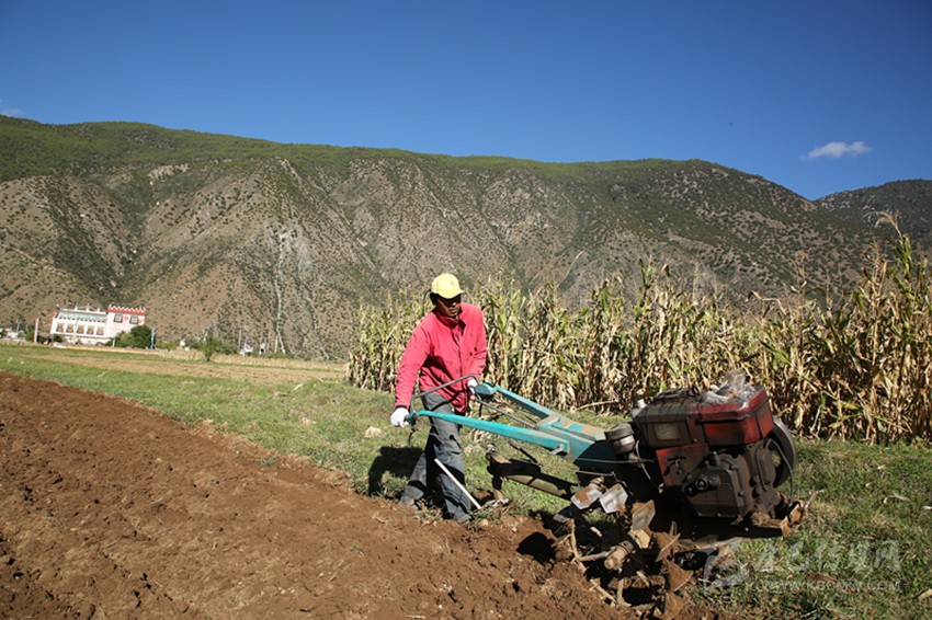 田園藏鄉(xiāng)美如畫(huà)，百姓脫貧喜在心