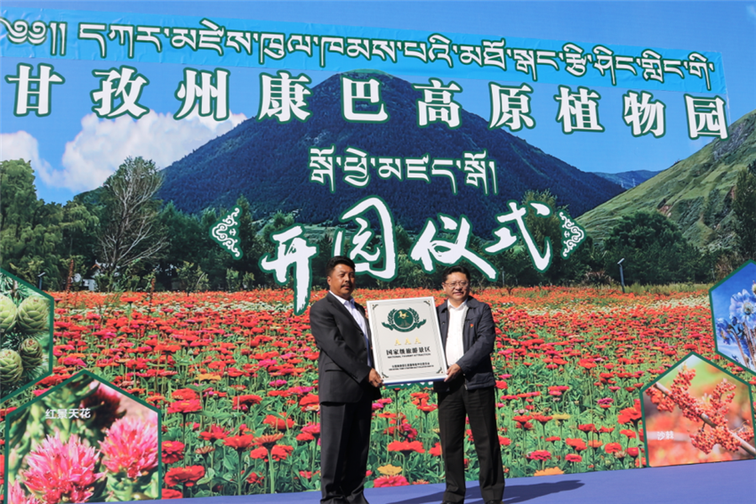 康巴高原植.png 康巴高原植.png