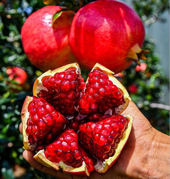 QQ截圖20211025001342.jpg QQ截圖20211025001342.jpg