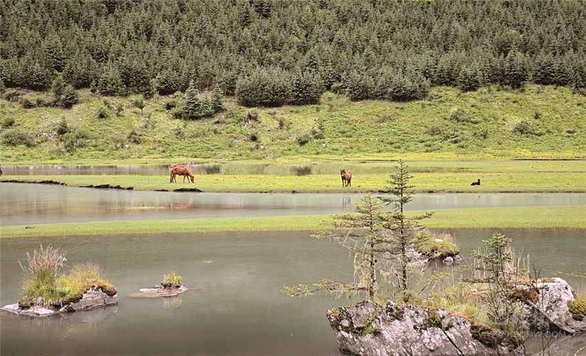 去甘孜 邂逅絕美湖泊海子！